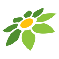 DRAW TWITTER